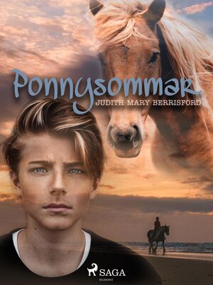 cover image of Ponnysommar
